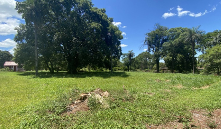 Terreno en venta - Hohenau