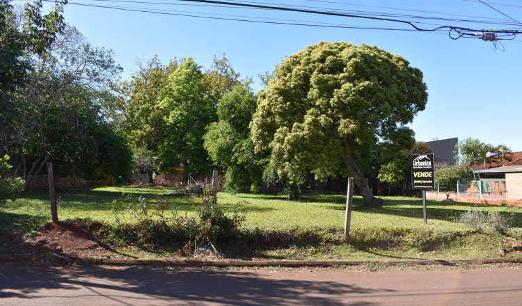 Terreno en venta - Hohenau