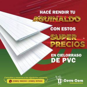 Cielorraso de Pvc