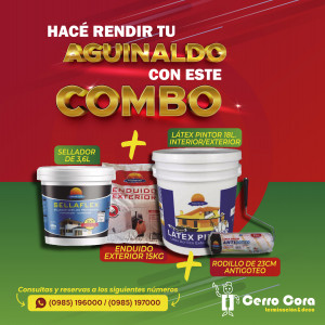 Combo de pinturas